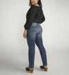 Suki Mid Rise Straight Leg Jeans Plus Size, , hi-res image number 1