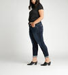 Boyfriend Mid Rise Slim Leg Plus Size Jeans, , hi-res image number 2