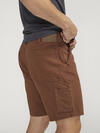 Painter Shorts image number 3