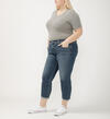 Boyfriend Mid Rise Slim Leg Jeans Plus Size, , hi-res image number 2