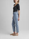 Highly Desirable High Rise Straight Leg Jeans image number 2
