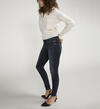 Suki Mid Rise Skinny Leg Jeans, , hi-res image number 2