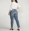 Suki Mid Rise Straight Leg Jeans Plus Size, , hi-res image number 1