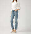 Elyse Mid Rise Straight Leg Jeans, , hi-res image number 2