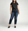 Boyfriend Mid Rise Slim Leg Plus Size Jeans, , hi-res image number 3