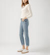 Boyfriend Mid Rise Slim Leg Luxe Stretch Jeans, , hi-res image number 2