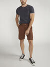 Painter Shorts image number 0