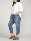 Elyse Mid Rise Straight Leg Crop Jeans Plus Size image number 2