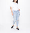Aiko Mid Rise Ankle Skinny Jeans Plus Size Final Sale, , hi-res image number 3