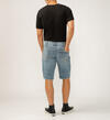 Zac Relaxed Fit Shorts, , hi-res image number 1