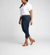 Avery High-Rise Curvy Skinny Crop Jeans, , hi-res image number 2