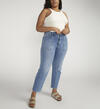 High Rise Straight Leg Carpenter Pant Plus Size, , hi-res image number 0