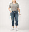 Boyfriend Mid Rise Slim Leg Jeans Plus Size, , hi-res image number 4