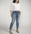 Suki Mid Rise Straight Leg Jeans Plus Size, , hi-res image number 0