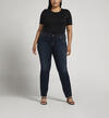 Elyse Mid Rise Straight Leg Jeans Plus Size, , hi-res image number 0