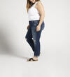 Boyfriend Mid Rise Slim Leg Jeans Plus Size, , hi-res image number 2