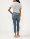Elyse Mid Rise Straight Leg Ankle Jeans image number 1