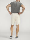Painter Shorts image number 1