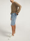 Zac Relaxed Fit Shorts image number 2