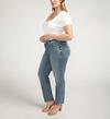 Suki Mid Rise Straight Leg Jeans Plus Size, , hi-res image number 2