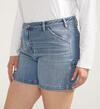 Sure Thing Carpenter Shorts Plus Size, , hi-res image number 3