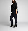 Mazy High Rise Skinny Leg Jeans Plus Size Final Sale, , hi-res image number 2