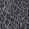 Charcoal Leopard