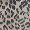 Tan Leopard